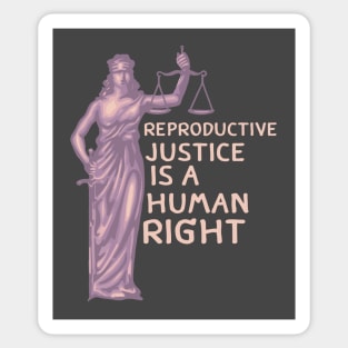 Reproductive Justice Sticker